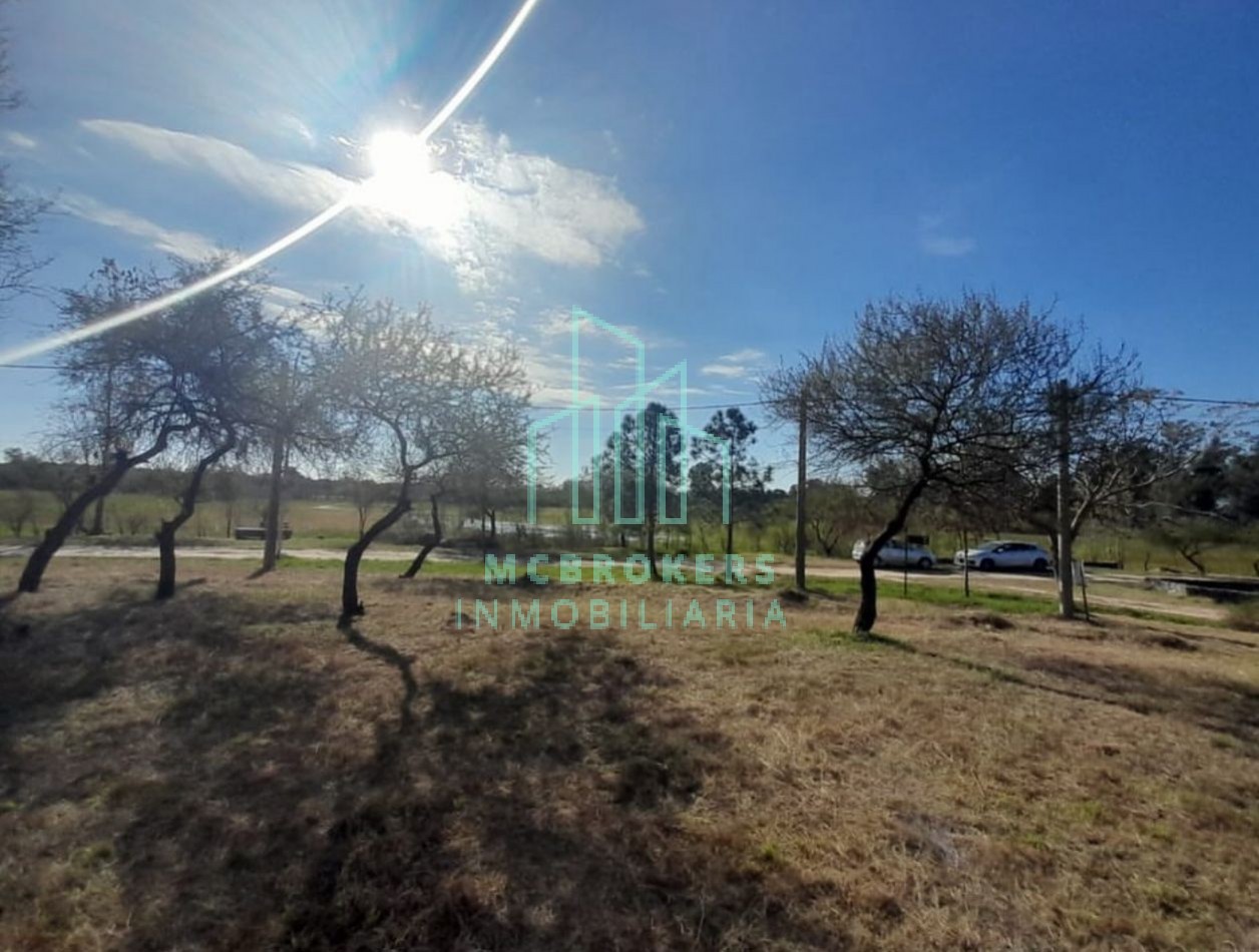 TERRENO en Lomas de San Jose